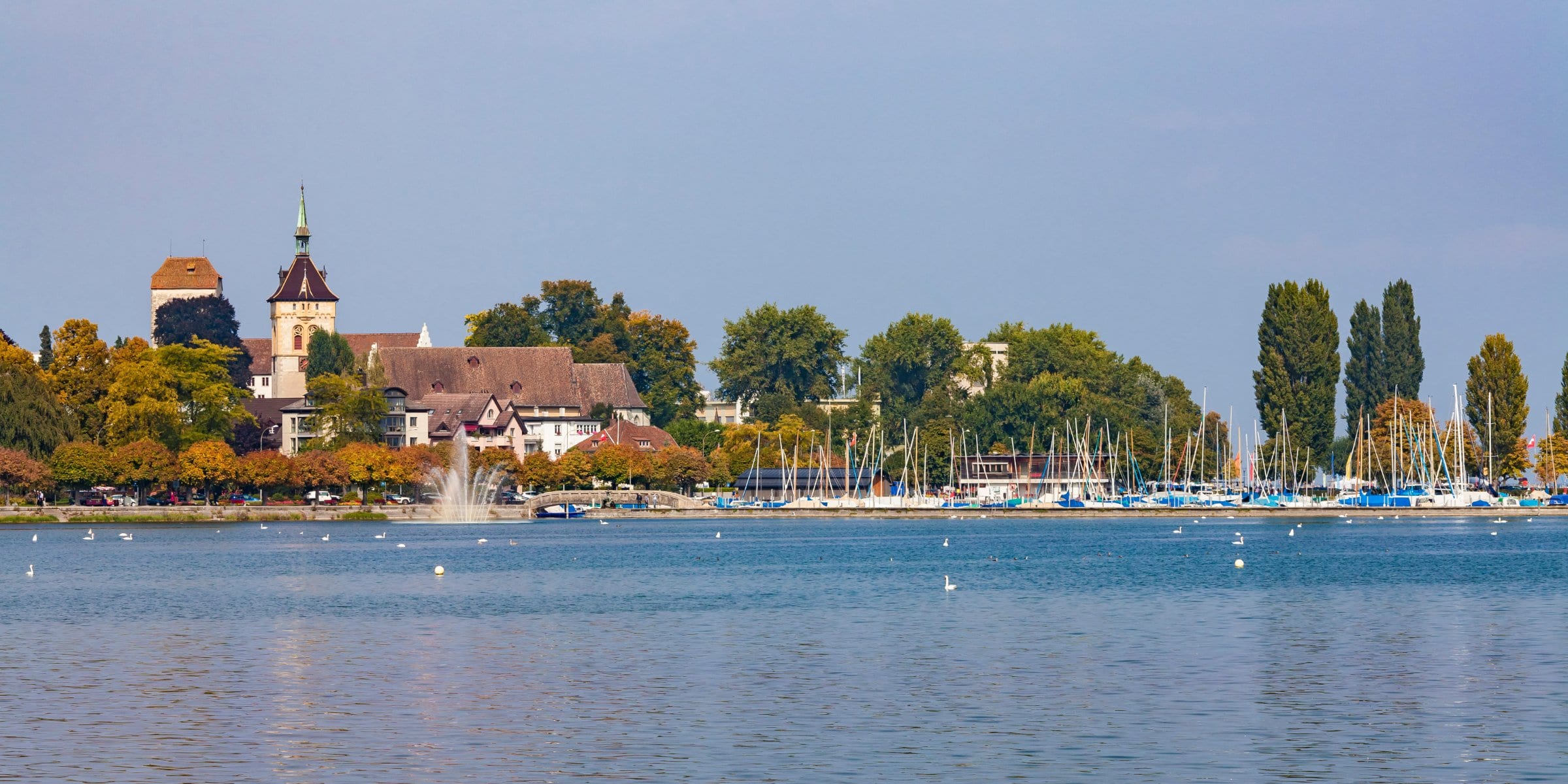 Arbon